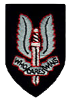 Special Air Service (SAS) - insignia