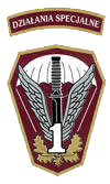 1 Pułk Specjalny Komandosów - insignia