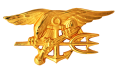 US Navy SEALs - badge